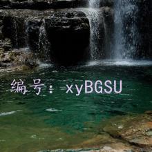 ѡ
