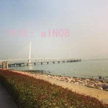 ʵ